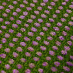 Handwoven Green & Purple Textured Cotton Cushion Cover – 45 x 45 cm | Artisan Woven Throw Pillow Cover